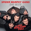 Spider Murphy Gang - Schickeria